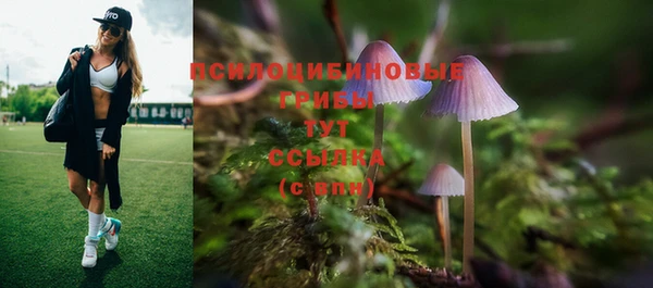 трава Заводоуковск