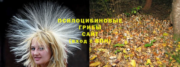 стаф Заволжье