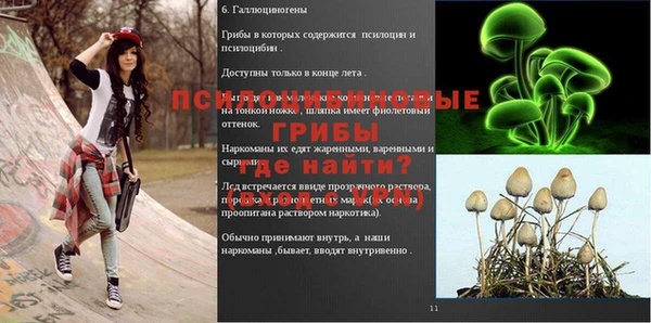 стаф Заволжье