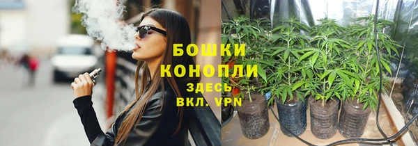 стаф Заволжье
