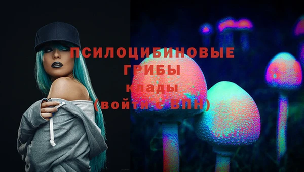 трава Заводоуковск