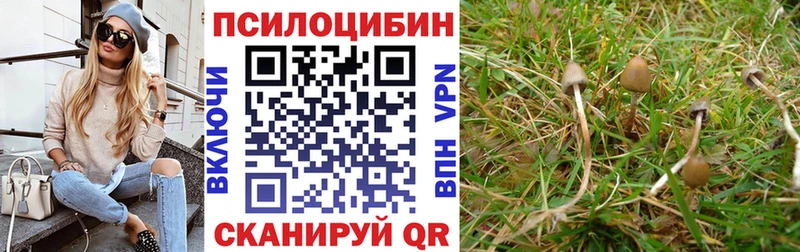 kraken ONION магазин наркотиков Карасук Псилоцибиновые грибы Psilocybe